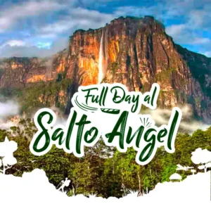 Full Day Salto Angel